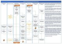 Proceso de preparación y presentación de ofertas